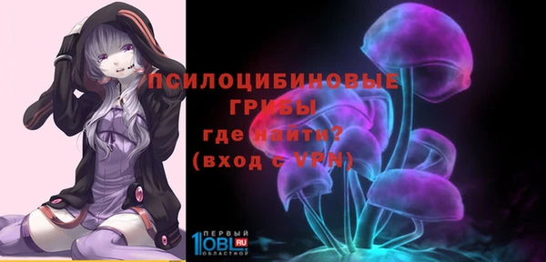 крисы Абаза