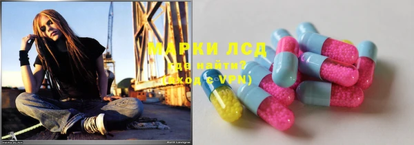 крисы Абаза