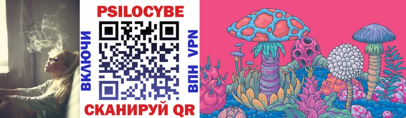 Псилоцибиновые грибы Psilocybe Нижневартовск